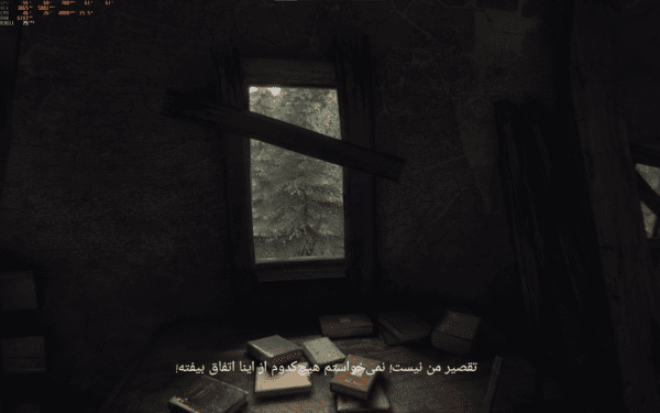 فارسی ساز The Vanishing of Ethan Carter