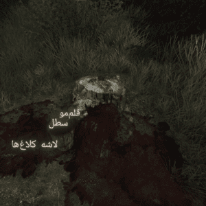 فارسی ساز The Vanishing of Ethan Carter - تصویر 7