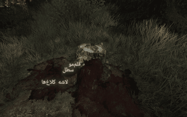 فارسی ساز The Vanishing of Ethan Carter