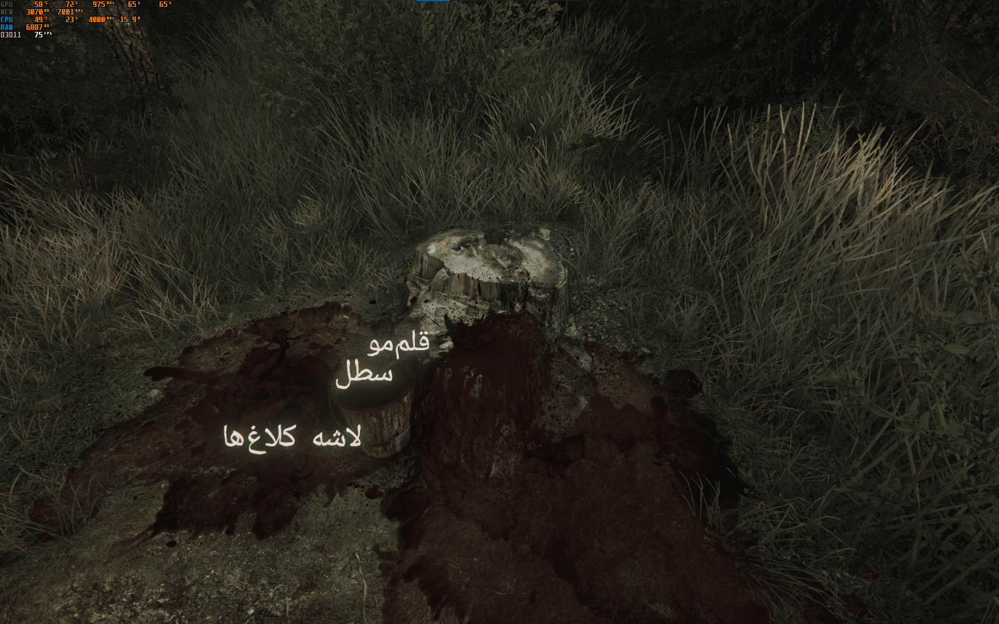 فارسی ساز The Vanishing of Ethan Carter - تصویر 7