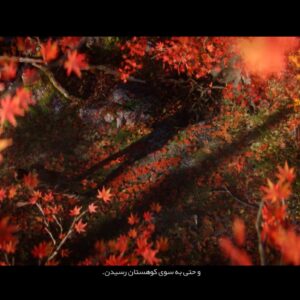 فارسی ساز Sekiro Shadows Die Twice - تصویر 4