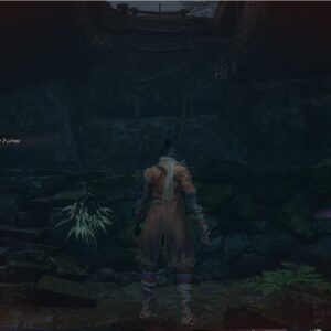 فارسی ساز Sekiro Shadows Die Twice - تصویر 5