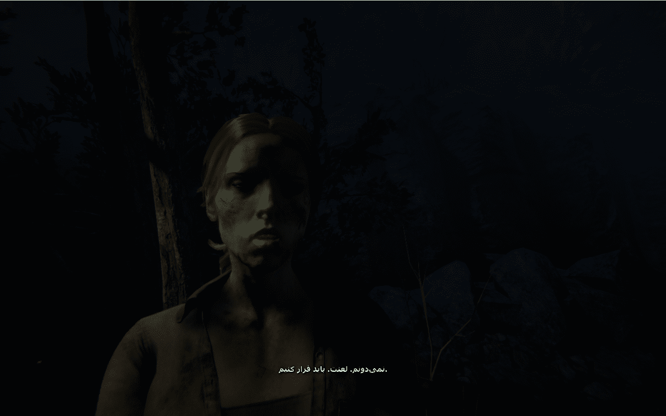 فارسی ساز کامل Outlast 2 برای PC - تصویر 5